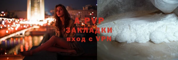амф Алексин