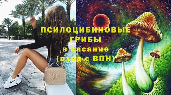 амф Алексин