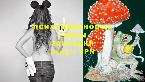 PSILOCYBIN Алексеевка