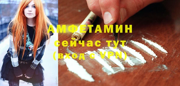 амф Алексин