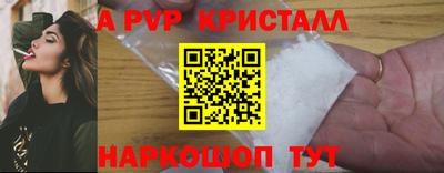 PSILOCYBIN Нальчик
