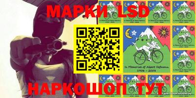 индика Новодвинск
