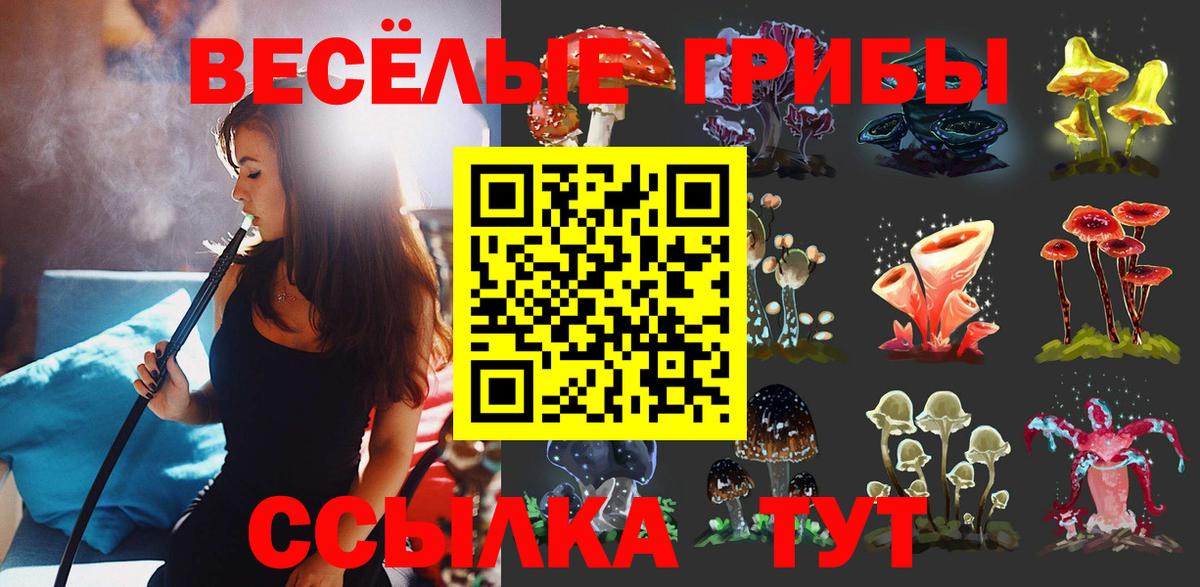 Псилоцибиновые грибы Psilocybine cubensis  Псилоцибиновые грибы MAGIC MUSHROOMS  Анапа  Вход с VPN 