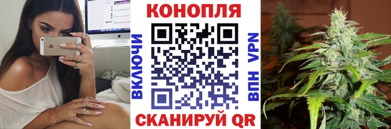 Конопля White Widow  купить  цена  Анапа 